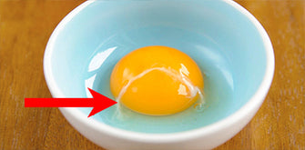 Easy Breakfast Recipes That Will Help Give You Amazing Skin!