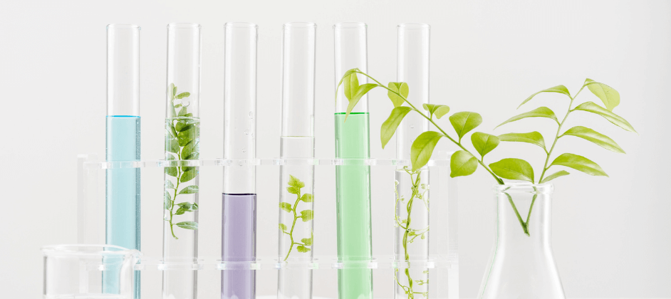 The Truth About Natural And Synthetic Ingredients That No One Is Talking About