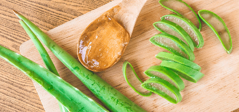 Why Aloe The Best Natural Ingredient To Help Achieve Beautiful Skin