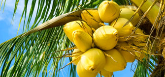 If Your Skin Feels Rough, Slather On This Ingredient To Bring It Back To Life!
