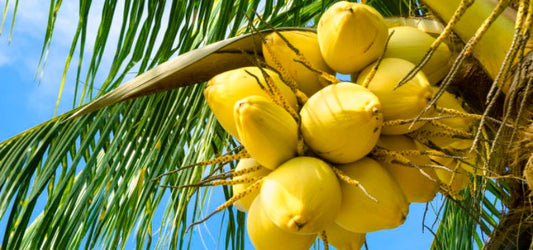 If Your Skin Feels Rough, Slather On This Ingredient To Bring It Back To Life!