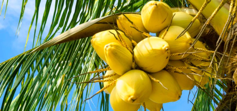 If Your Skin Feels Rough, Slather On This Ingredient To Bring It Back To Life!