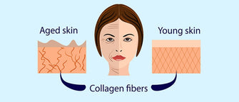 We’ve Heard This Skincare Buzzword Before, But What Actually Is Collagen?