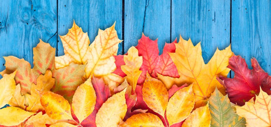 Do You Actually Need To Wear Sunscreen In The Fall?