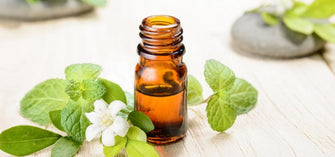 This Minty Ingredient Will Refresh Your Skin Like Never Before!