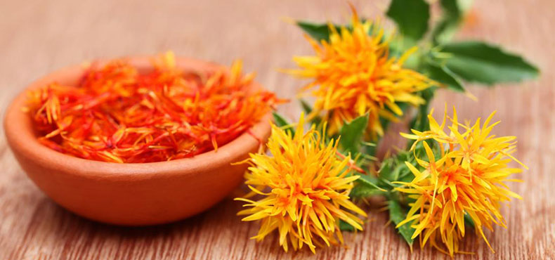 Why You Should Try Incorporating Safflower Oil Into Your Skin Care Routine
