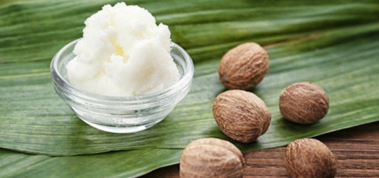 Ingredient Spotlight: Shea Butter to Transform Dry Skin