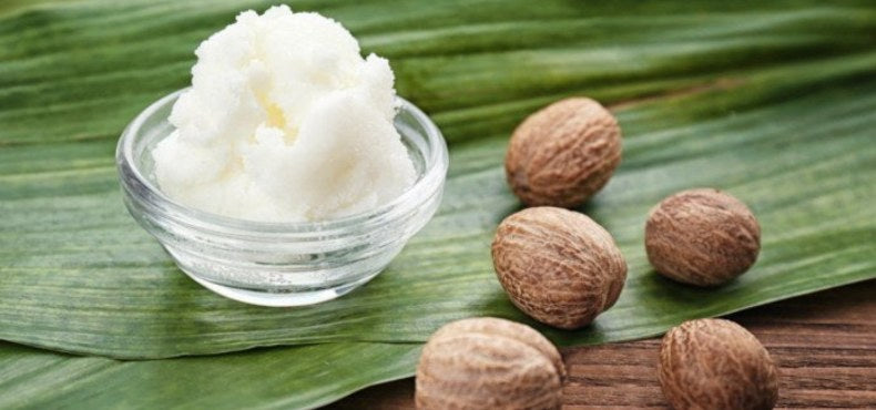 Ingredient Spotlight: Shea Butter to Transform Dry Skin