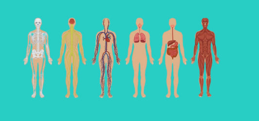 What Is The Link Between Your Health And Your Skincare Routine?