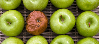 Why You Need To Add Antioxidants To Your Routine If You Want Glowing Skin