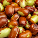 Jojoba Seed Oil