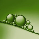 VEGF