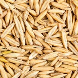 Oat Kernal Extract
